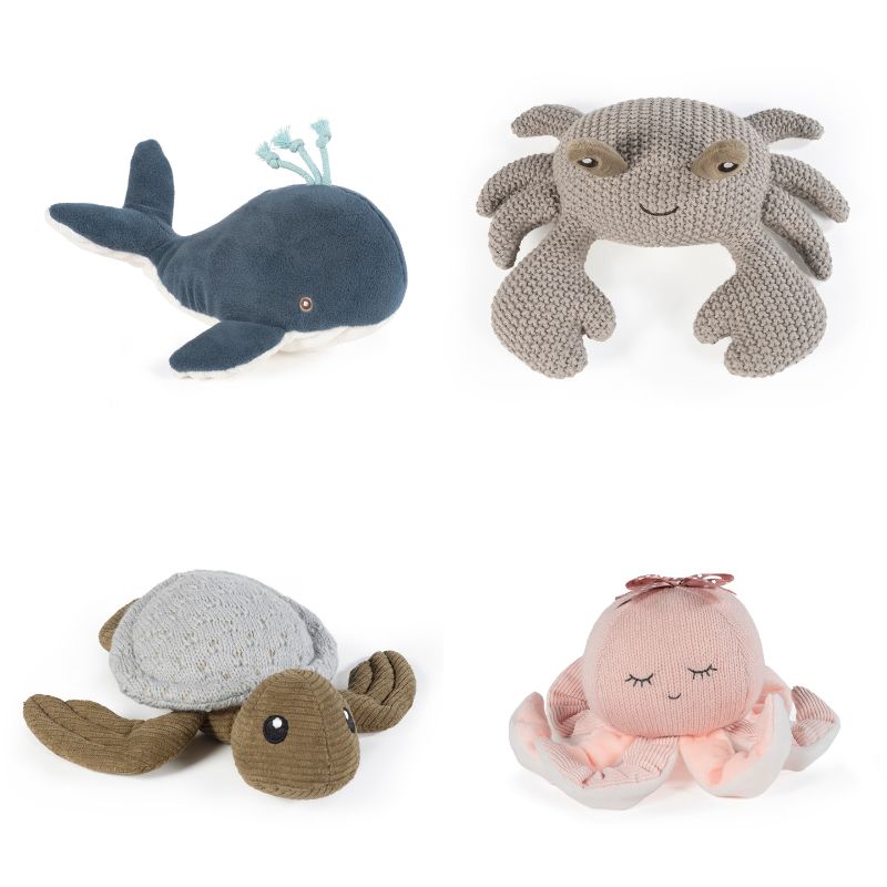 Sea animals da Walking Mum 1