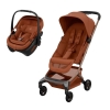 Fame Cabin e Coral Slide Pro Cooper Terra da Maxi Cosi 1