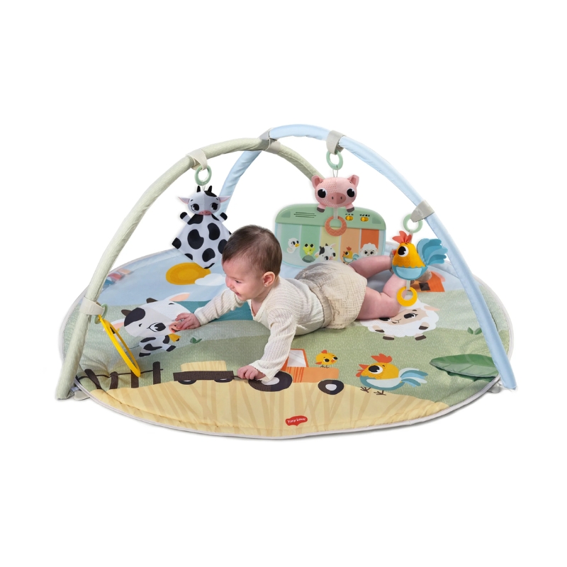 Tapate de Atividades Farmers da Tiny Love 2