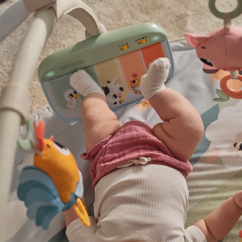 Tapate de Atividades Farmers da Tiny Love 4