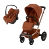Conjunto de carrinho Fame e cadeira auto Pebble Slide Pro Cooper Terra da Maxi Cosi 1
